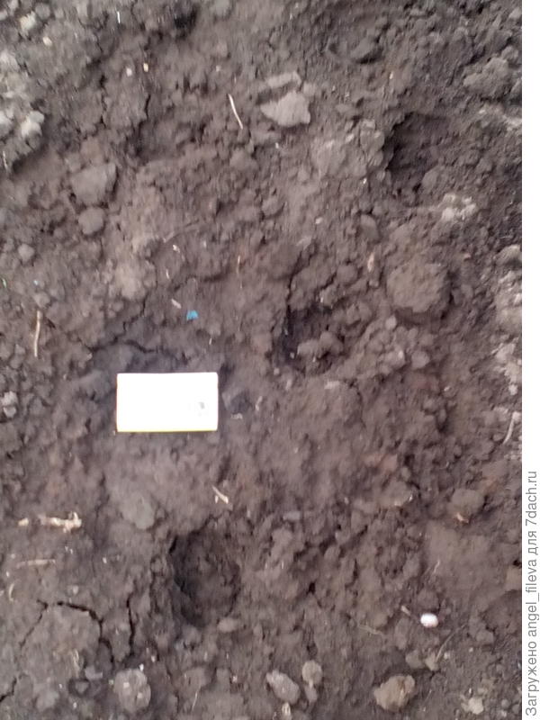 а это следы, ориентиром служит визитка