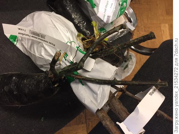 Малину видно. Такая сухая, что крошиться начала