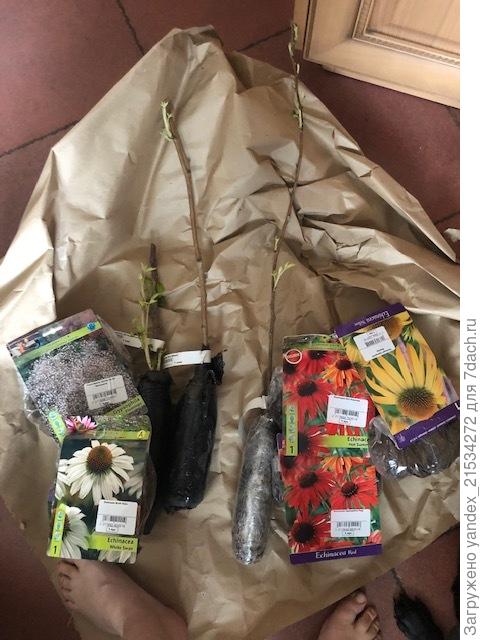 Это заказ в целом