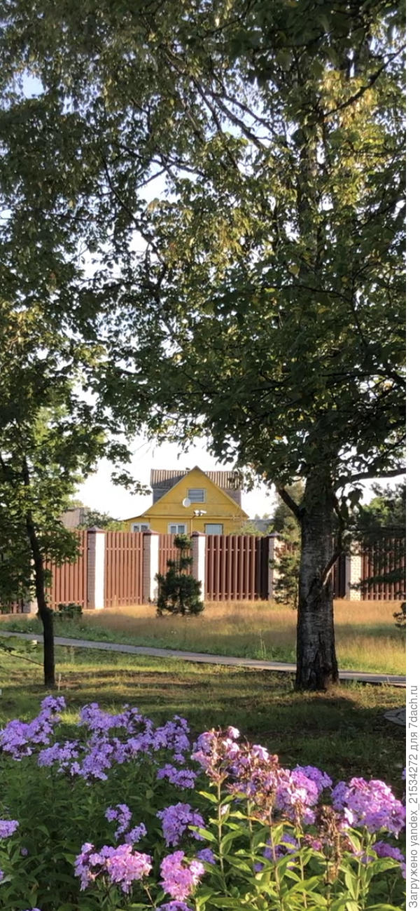 Увеличен стоп кадр с видео