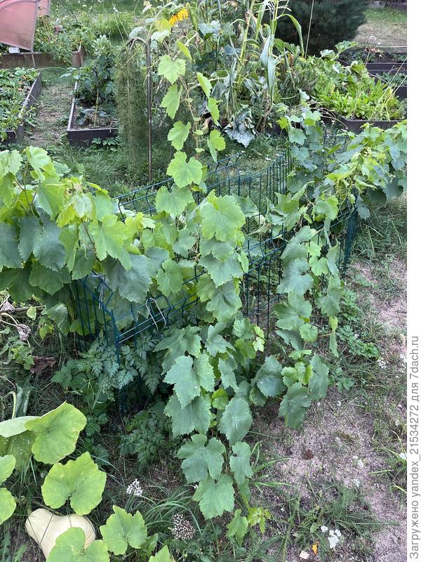 Название не помню)