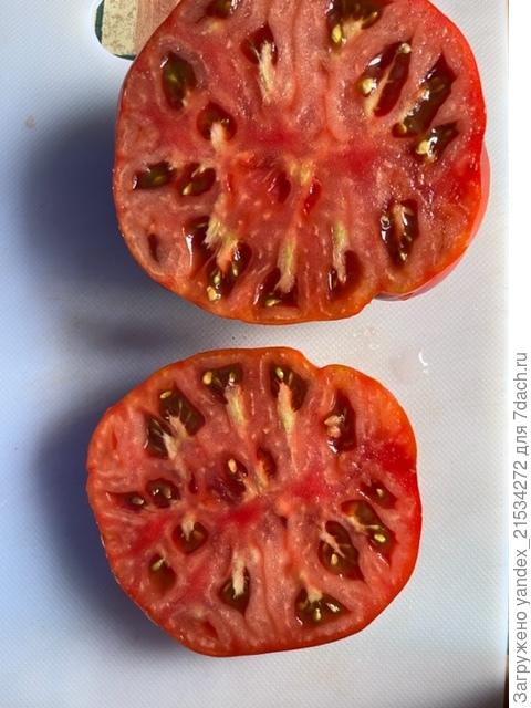 Трюфельный бифштекс