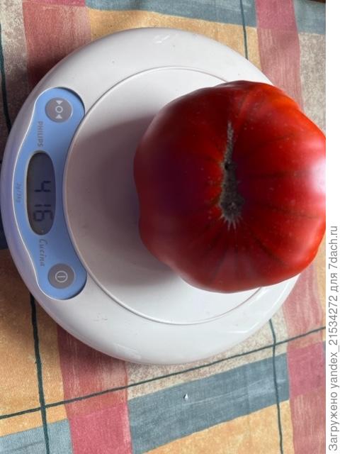 Трюфельный бифштекс