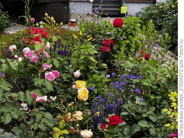 Такая мешанина, сейчас рассажено много чего уже)