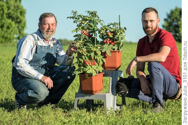фотка с просторов интернета