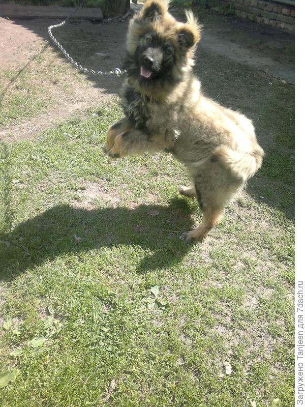 ... радуемся солнышку)))