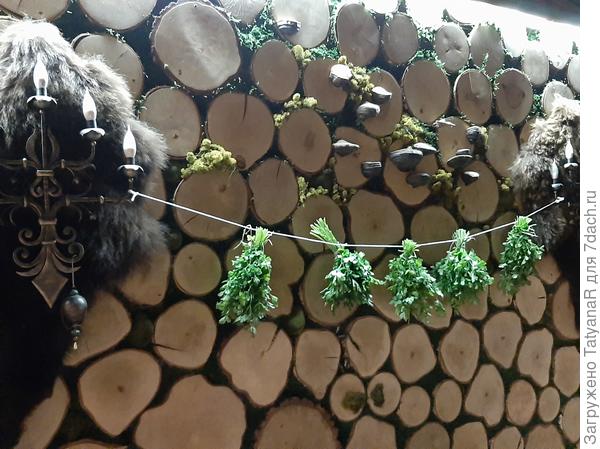 Сушение петрушки. Но смотрим на стену со спицами.