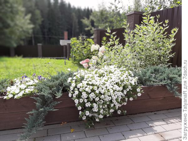 клумба из остатков террасной доски