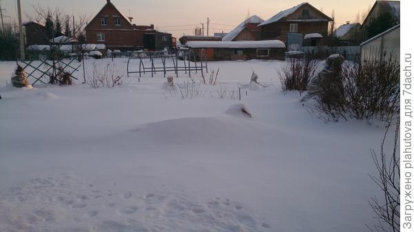 Вчера на даче, белым бело!