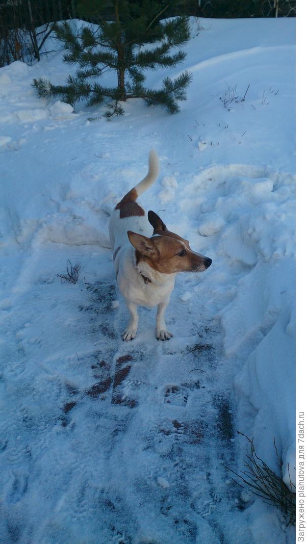 В Мужском царстве есть еще наш добряк  Филя