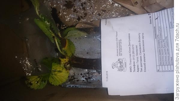 И это не лучше .