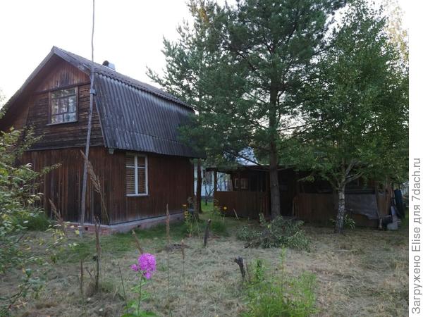 это вид из глубины участка на кухню и дом