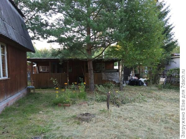 это вид из глубины участка на кухню и дом