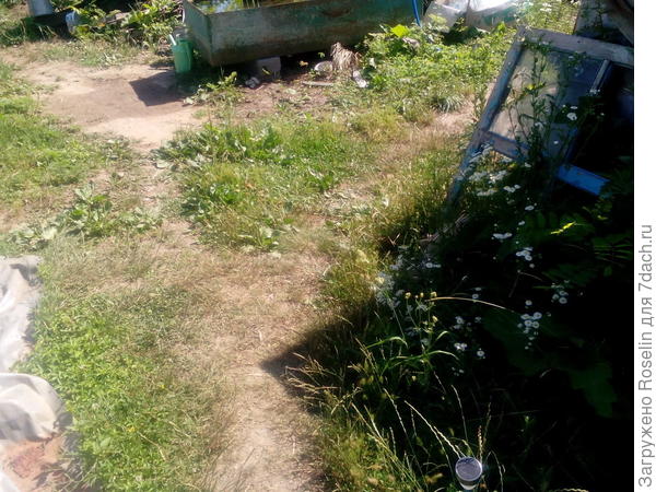 А мои дорожки выглядят пока вот так! Но грязи нет,так как это отсев  щебня.