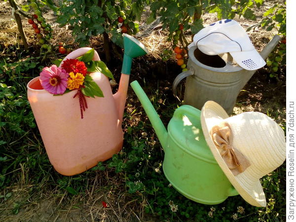 Дружная дачная семья! Вместе мы -сила!