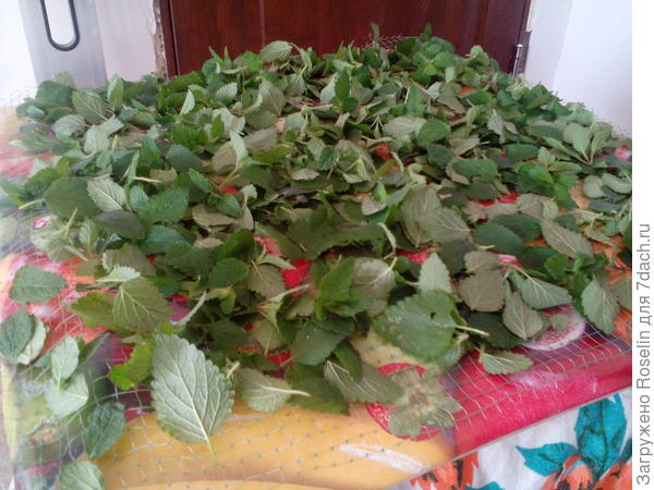 Вид поближе