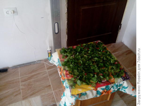 Процесс пошёл