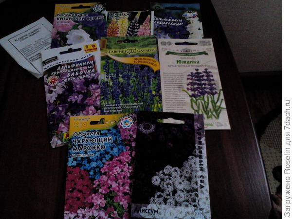 Мои подзимние посевы