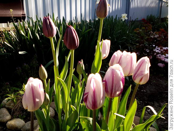 ПОЗДРАВЛЯЮ!!!