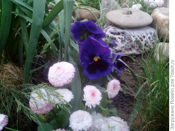 Спасибо,что ты есть, Тигрочка! Муррррр!