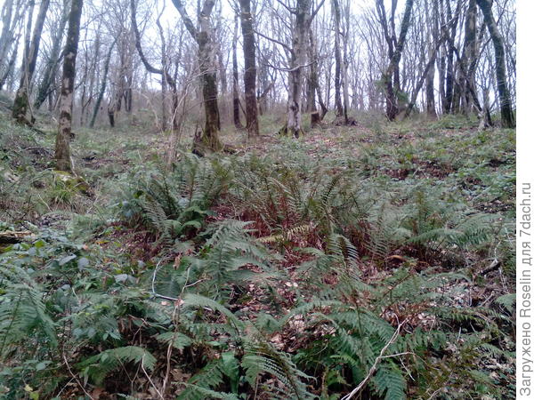 На фото не очень крутизна видна.