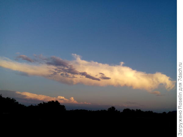 Летний вечер