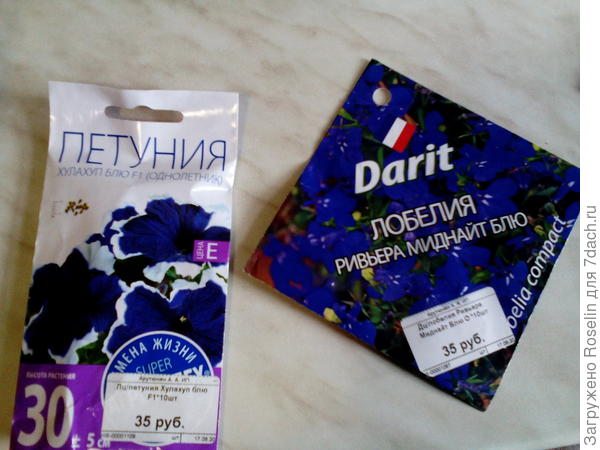 Вот. Лобелия в мультидраже.