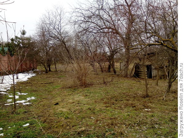Сад