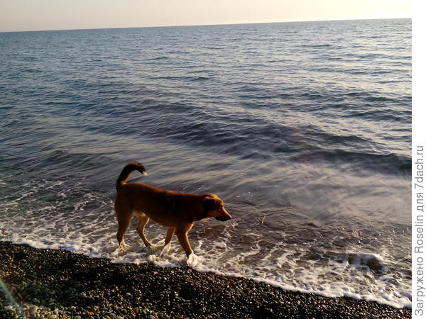 Тоже любитель морских пейзажей