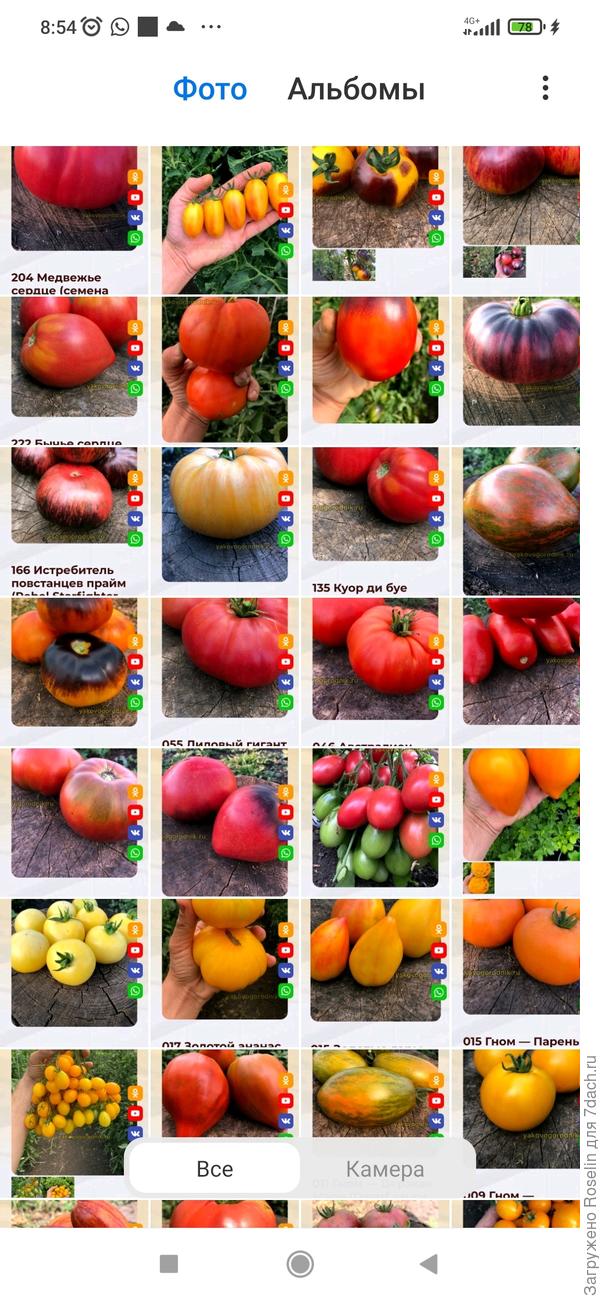 А потом ещё чуть-чуть...