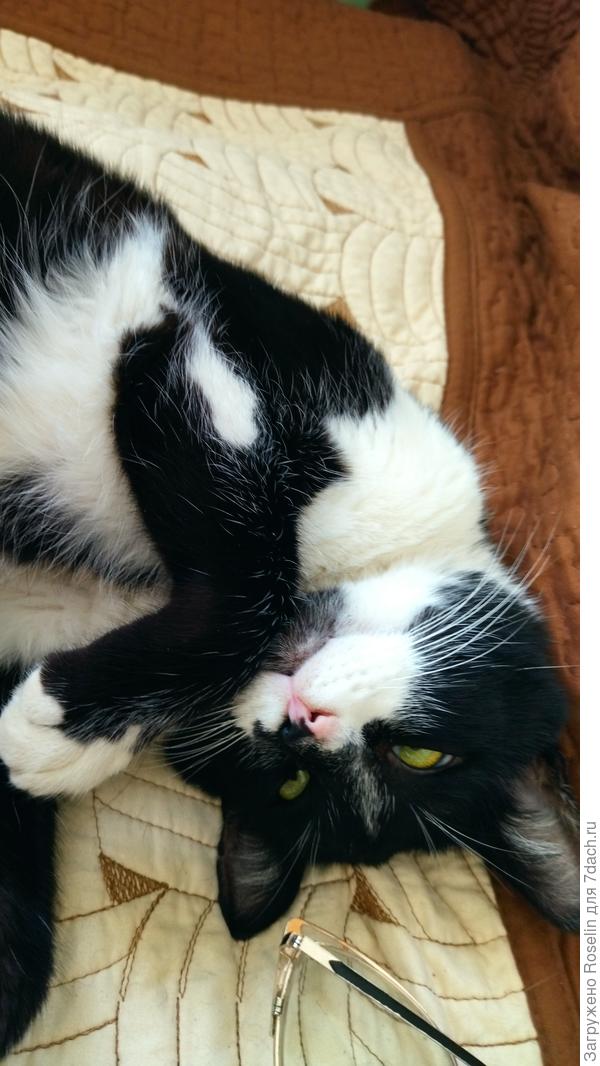 Никсон собственной персоной