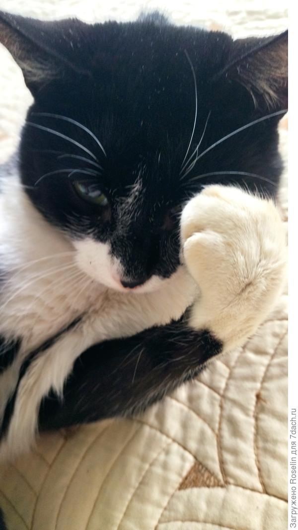 Никсон прихорашивается