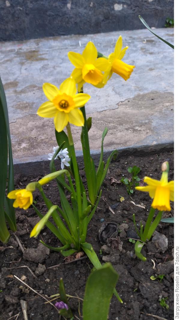 нельзя пропустить это всë незамеченным.........