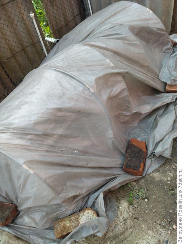 А здесь под двойным укрывным и плëнкой живут перцы и помидоры в 0,5 и литровых стаканах. На днях было тепло и я их открывала знакомиться с миром за бортом. Вчера укутала, на улице сильный холодный ветер. Надеюсь, переживут непогоду.