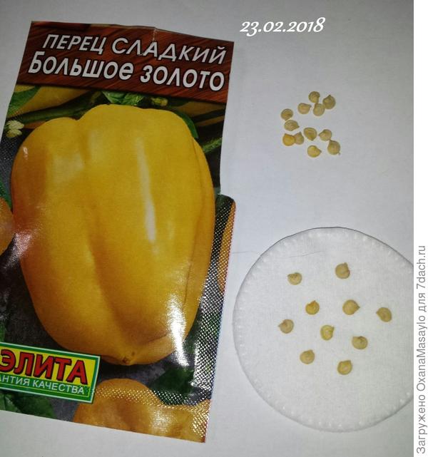 Вскрыла пакет. Семечки без дополнительного изолирующего пакетика.
