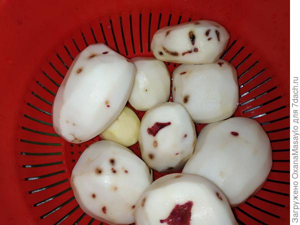 вот такая картошка в этом году (((