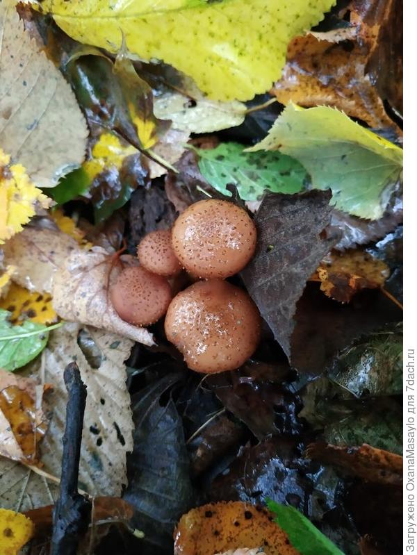 красавчики!!!