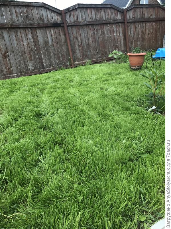 Вот после покоса вторая половина