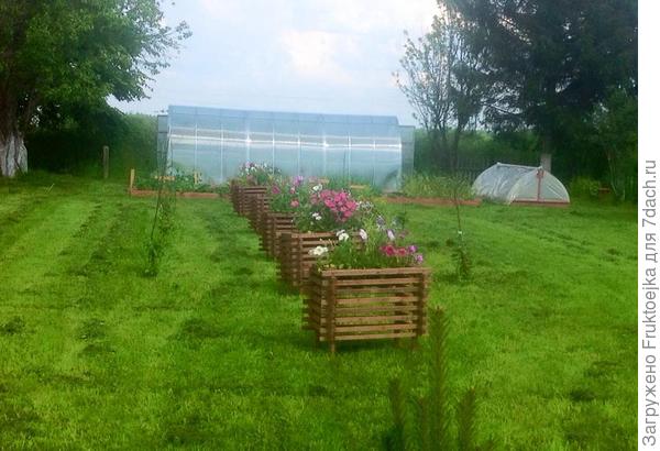 Это я тоже сама и тоже из мусора и тоже от безысходности. Переносные цветники. То там стоят то тут-закрывают строительный бардак