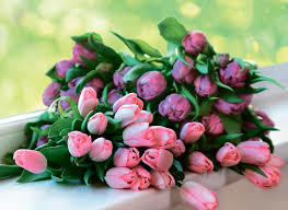 Девочки, всех с праздником! Пусть все растет! И всегда пусть все!