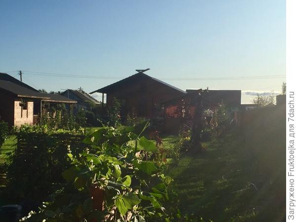 Вот видно слева его хорошо