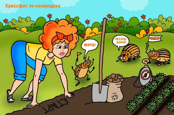 Кроссфит по-колорадски - серия круговых тренировок, которая выполняется всеми дачниками с мая по август