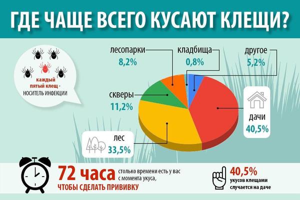 Где чаще всего кусают клещи?