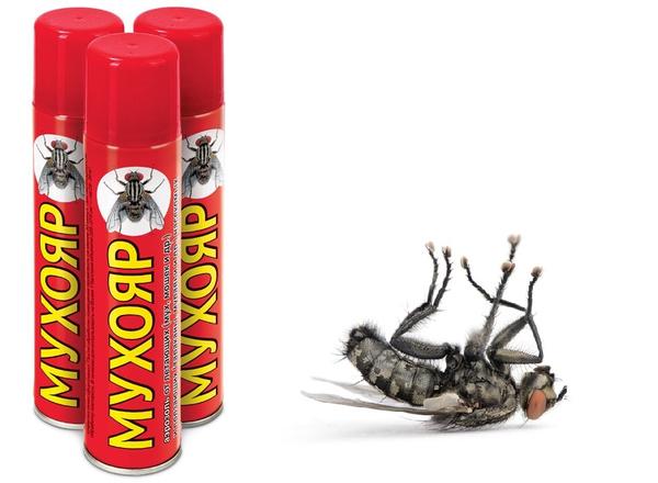 Аэрозоли - одна из самых популярных и удобных форм выпуска средств от насекомых