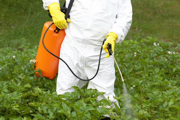 Обработку любыми инсектицидами нужно проводить в защитной одежде