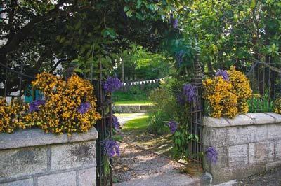 Этот сад явно ожидает гостей