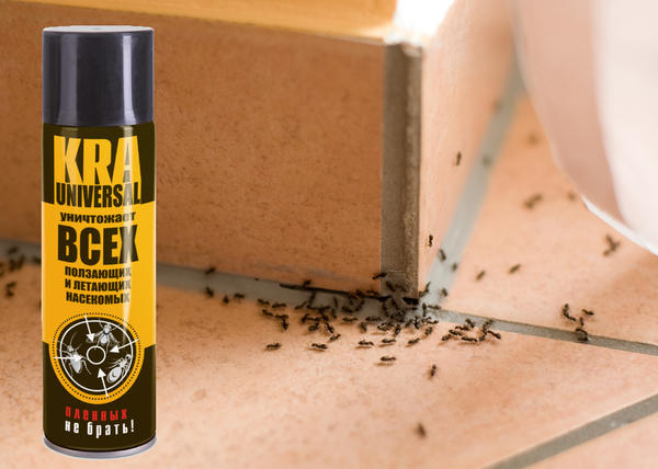 У муравьев всегда есть свои нахоженные тропы, их-то и нужно обрабатывать