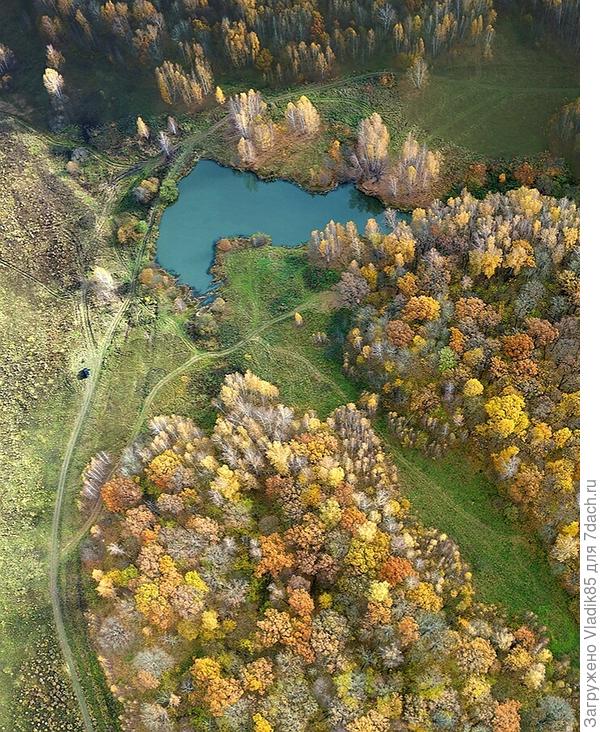 Лесной прудик.