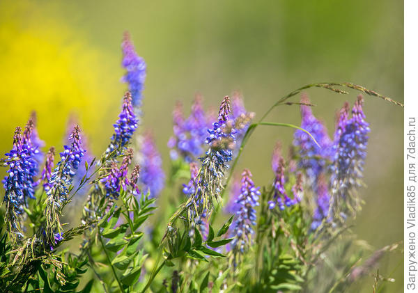 А это ещё вариант, но не уверен,что это тоже самое...