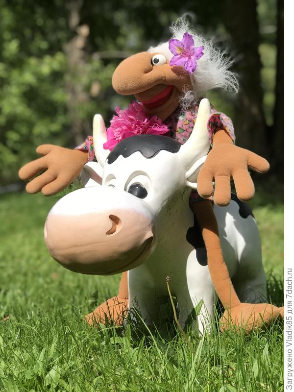 Вот этот экземпляр сам не против пообниматься :)